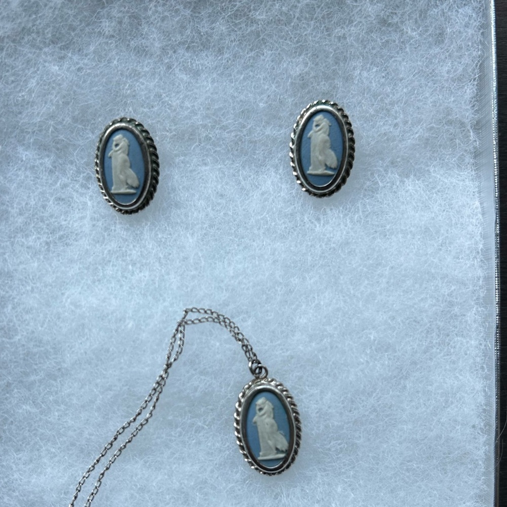 Wedgewood blue pendant and earring set